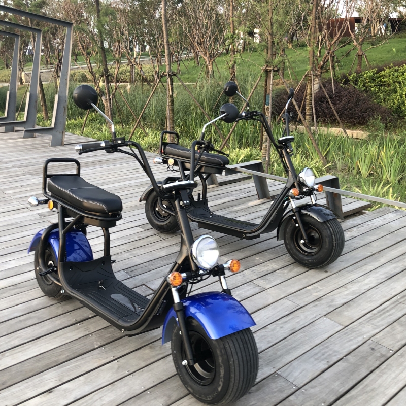 Citycoco in Holland 12 Inch 2000w City Coco electric skateboard scooter/electric Fat Bike/ Mini Kids Adults Electric Motorcycle